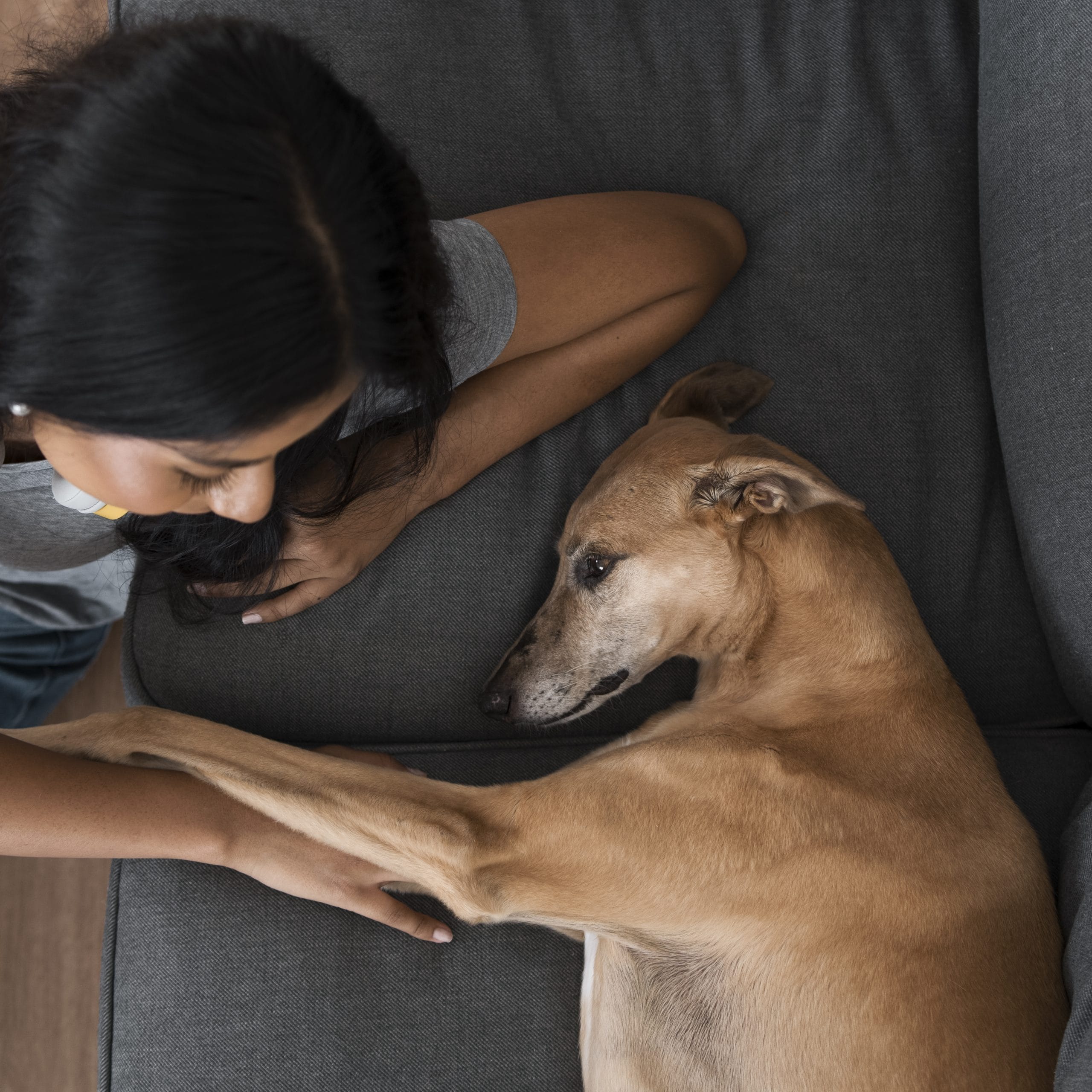 ANSIEDAD POR SEPARACIÓN