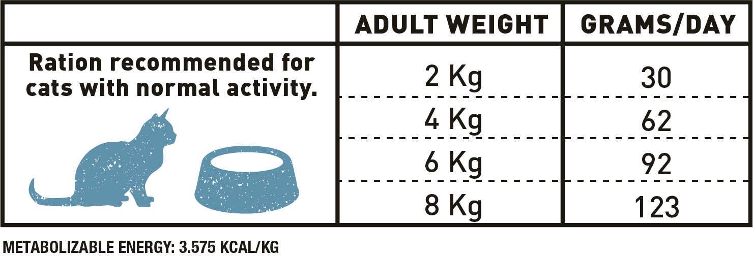 Adulto esterilizado gato
