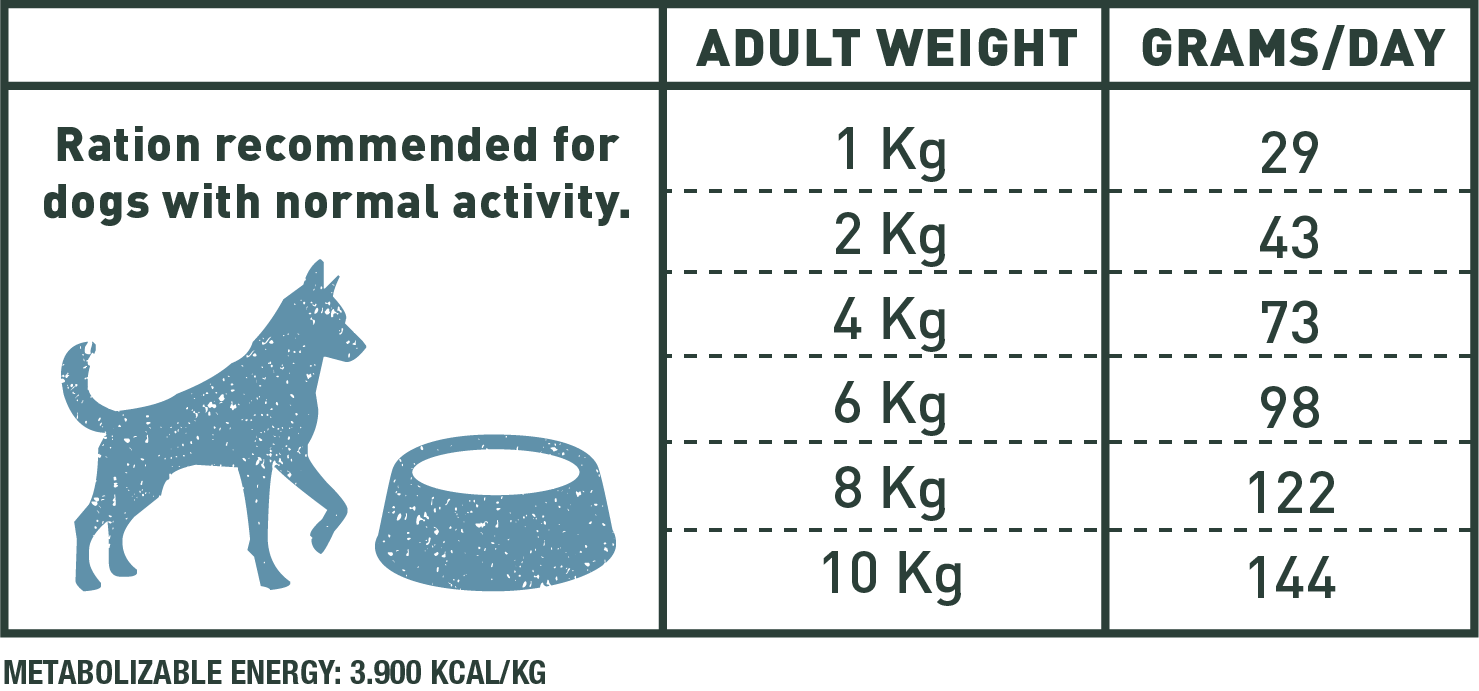 Salmon mini adulto 2y7kg