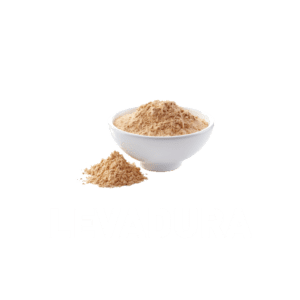 LEVADURA