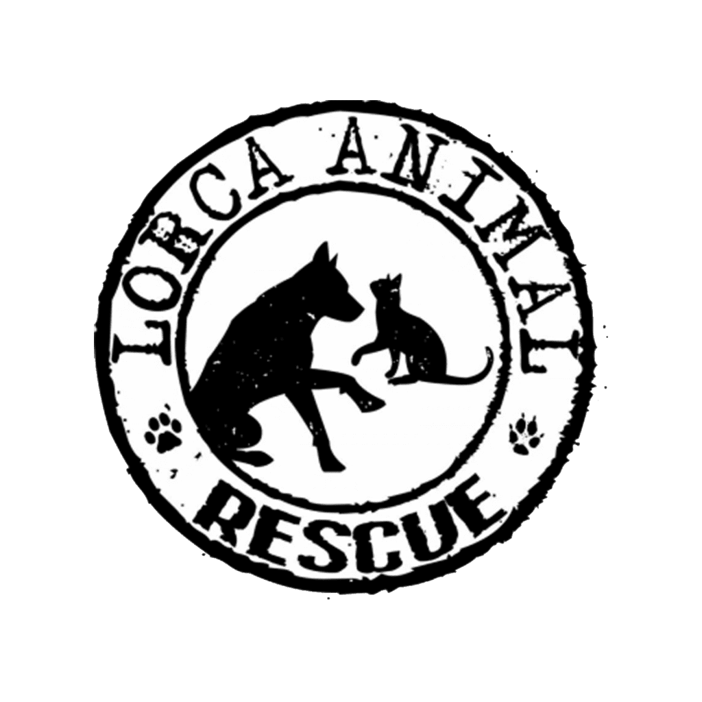 PROTECTORA LORCA ANIMAL