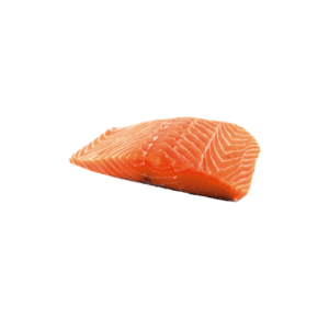 SALMÓN