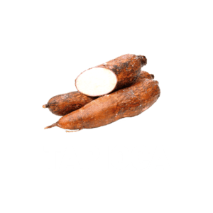 TAPIOCA