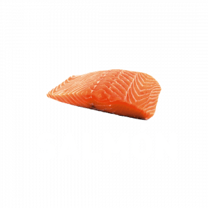 SALMON